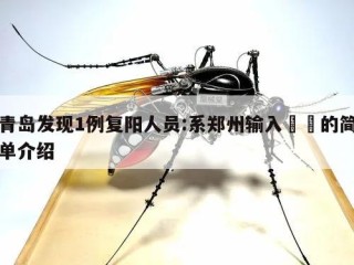 青岛发现1例复阳人员:系郑州输入㊙️的简单介绍