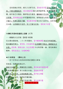 语文考场首出,一场自我认知与挑战的旅程 语文考场首出,一场自我认知与挑战的旅程